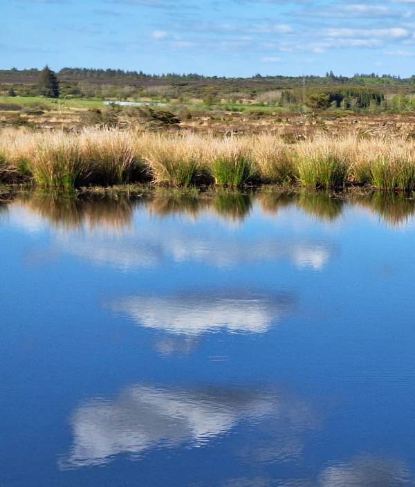 Stråsø Vandreturer