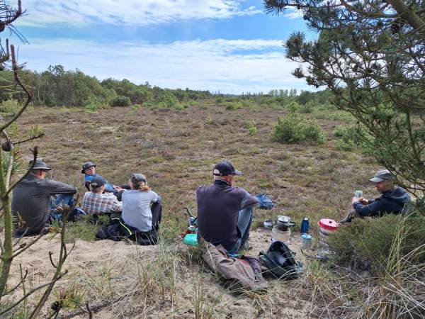 Vandreturer i Stråsø